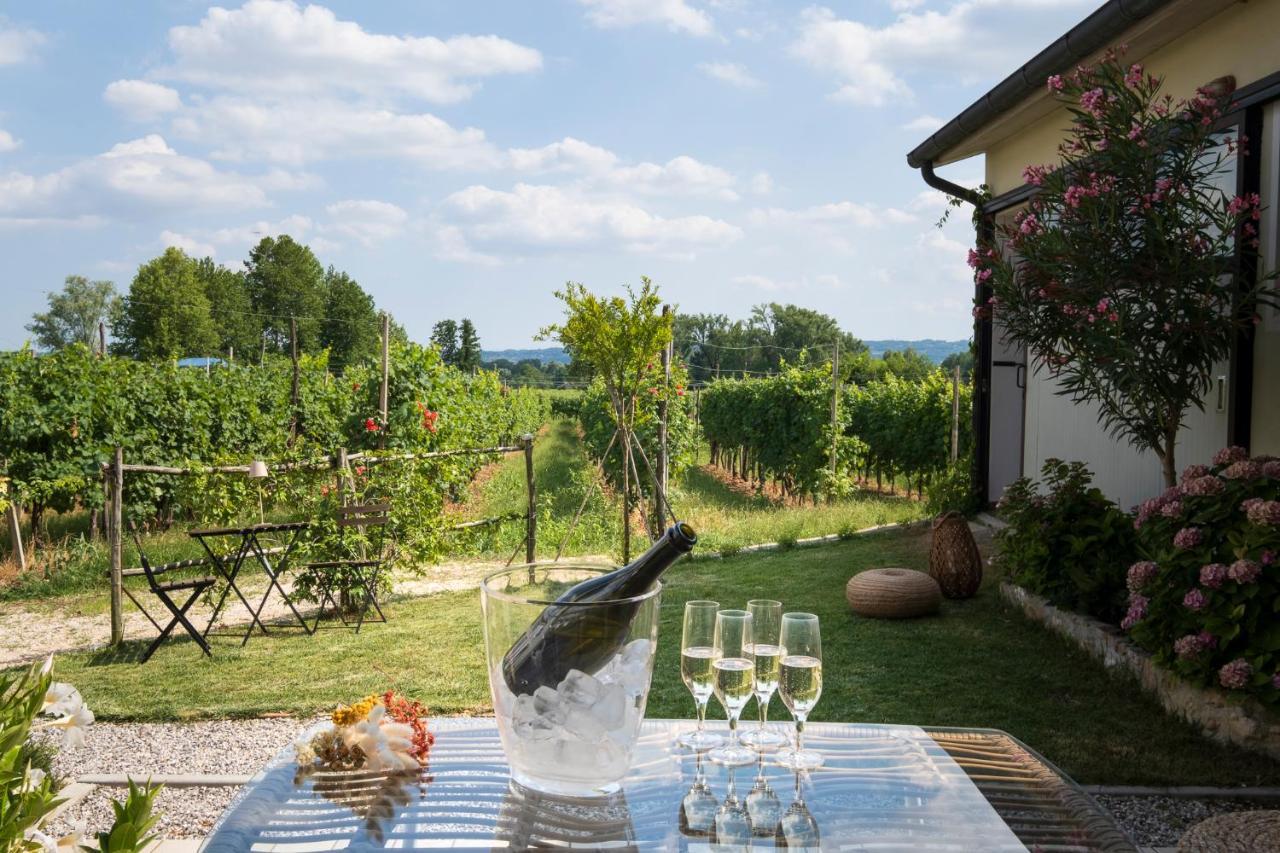 Le Vigne del Gallo Farra di Soligo Esterno foto